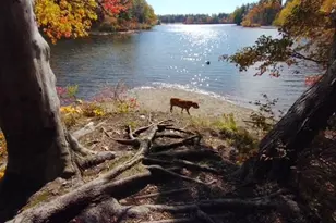 7 Juniper Ln, Pawling, NY 12564 - Photo 44