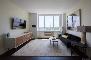 1 3rd, Mineola, NY 11501 - Photo 18