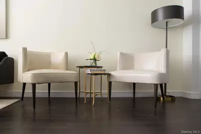 1 Third #1132, Mineola, NY 11501 - Photo 22