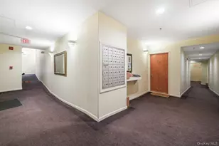 75 McKinley Ave, White Plains, NY 10606 - Photo 2