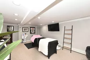3 Berry Hill Ln, Bethpage, NY 11714 - Photo 20