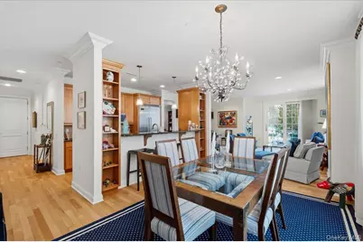 1 Christie Place #207 E, Scarsdale, NY 10583 - Photo 20