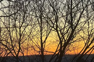 34 Piping Rock Dr, Ossining, NY 10562 - Photo 36