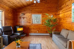 81 Mac Dougal Rd, Roscoe, NY 12776 - Photo 12