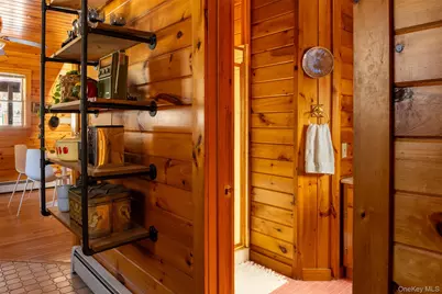 81 Macdougal Road, Roscoe, NY 12776 - Photo 24