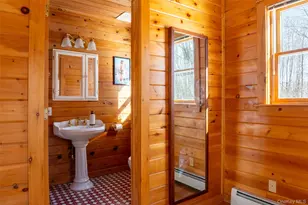 81 Mac Dougal Rd, Roscoe, NY 12776 - Photo 18