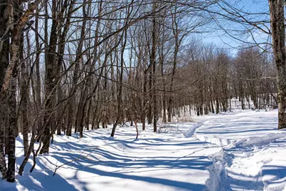 81 Macdougal Road, Roscoe, NY 12776 - Photo 38