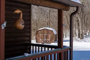 81 Mac Dougal Rd, Roscoe, NY 12776 - Photo 32