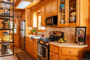 81 Mac Dougal Rd, Roscoe, NY 12776 - Photo 4