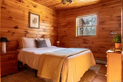 81 Macdougal Road, Roscoe, NY 12776 - Photo 20