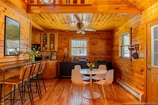 81 Mac Dougal Rd, Roscoe, NY 12776 - Photo 2