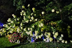 53 Jefferson Oval, Yorktown Heights, NY 10598 - Photo 18