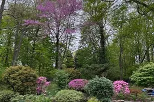 48 Cypress Ln, Briarcliff Manor, NY 10510 - Photo 38