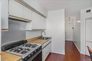 58-29 60th Ln, Maspeth, NY 11378 - Photo 20