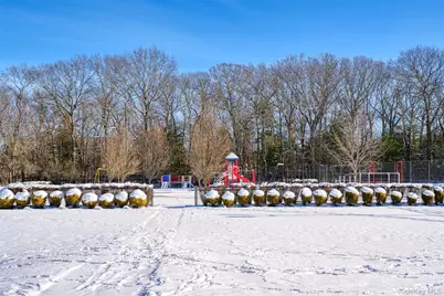 96 Artist Lake Drive, Middle Island, NY 11953 - Photo 10