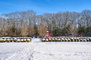 96 Artist Lake Dr, Middle Island, NY 11953 - Photo 10