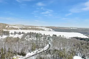 36 Peter Way, Kiamesha Lake, NY 12751 - Photo 30