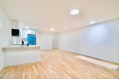 1777 Eastern Parkway, Brooklyn, NY 11233 - Photo 4