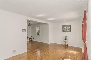 208 Emily Ave, Elmont, NY 11003 - Photo 18