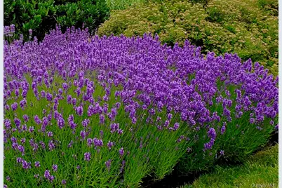 1680 Lands End Road, Orient, NY 11957 - Photo 6