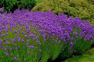 1680 Lands End Rd, Orient, NY 11957 - Photo 6