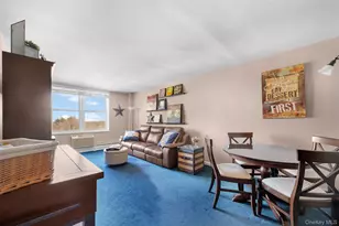 54-40 Little Neck Pkwy, Little Neck, NY 11362 - Photo 12