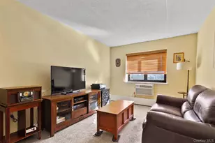 100 Diplomat Dr, Mount Kisco, NY 10549 - Photo 20