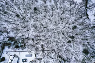 37 Christian Ave, Setauket, NY 11733 - Photo 22