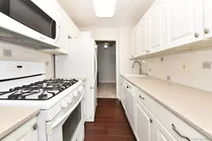 4 Birchwood Ct, Mineola, NY 11501 - Photo 6