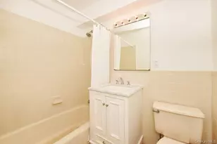 4 Birchwood Ct, Mineola, NY 11501 - Photo 10