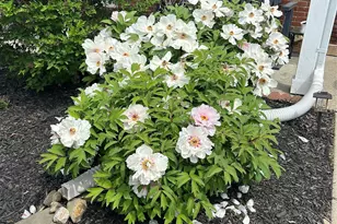 60 The Rise, Warwick, NY 10990 - Photo 44