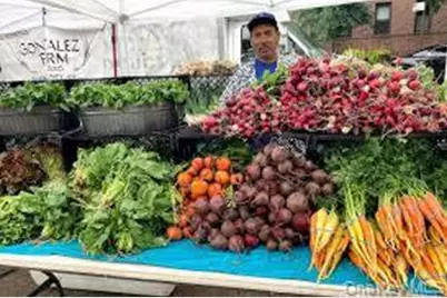 41-32 44th Street #3B, Sunnyside, NY 11104 - Photo 18