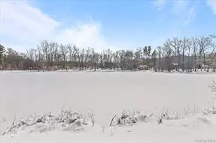 1265 N Ridge Rd, Shrub Oak, NY 10588 - Photo 16