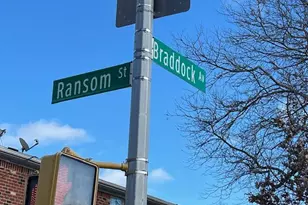 222-89 Braddock Ave, Bellerose, NY 11428 - Photo 24