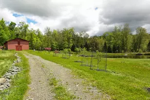 75 Krum Rd, Fallsburg, NY 12733 - Photo 6