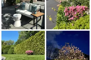 4 Dupont Ave, White Plains, NY 10605 - Photo 16