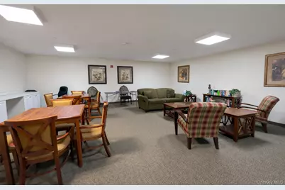 100 Woodcrest Lane #102, Mount Kisco, NY 10549 - Photo 10