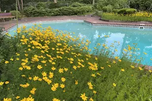 10 Sarah Dr, Dix Hills, NY 11746 - Photo 36