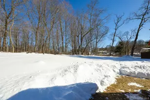 29 Mcallister Dr, Pleasant Valley, NY 12569 - Photo 26