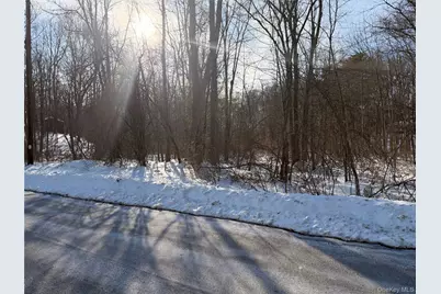 11 White Birch Road, Hyde Park, NY 12538 - Photo 4