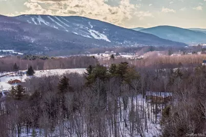 31 Windham Farms Road, Windham, NY 12496 - Photo 44