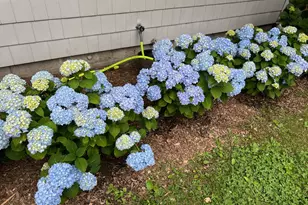 85 Young Ave, Croton on Hudson, NY 10520 - Photo 34