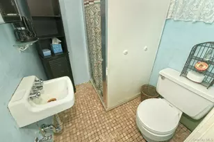 325 Cayuga Ave, East Meadow, NY 11554 - Photo 30