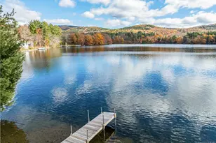 127 Queechy Shores Beach, Canaan, NY 12029 - Photo 2