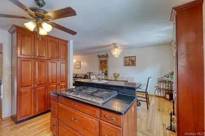 14 Capital Drive, Washingtonville, NY 10992 - Photo 10