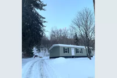 317 Debruce Road, Livingston Manor, NY 12758 - Photo 4