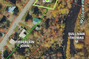 317 Debruce Rd, Livingston Manor, NY 12758 - Photo 36