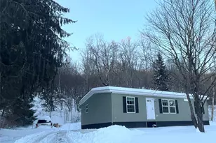 317 Debruce Rd, Livingston Manor, NY 12758 - Photo 8