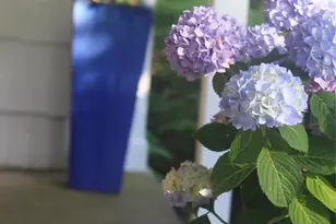 5845 E Bridge Ln NE, Cutchogue, NY 11935 - Photo 24