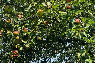 5845 E Bridge Ln NE, Cutchogue, NY 11935 - Photo 28